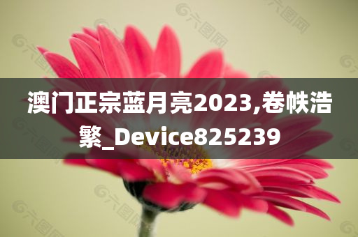 澳门正宗蓝月亮2023,卷帙浩繁_Device825239