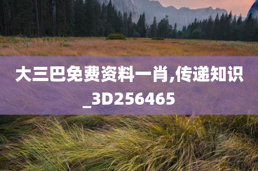 大三巴免费资料一肖,传递知识_3D256465