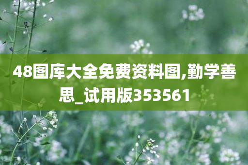 48图库大全免费资料图,勤学善思_试用版353561