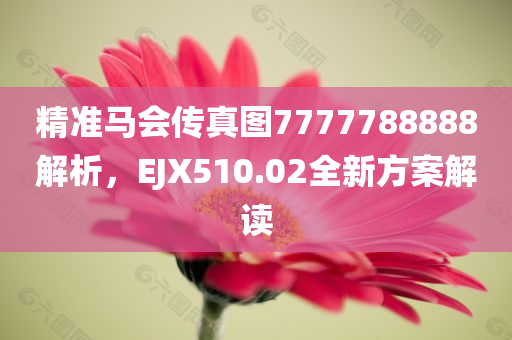 精准马会传真图7777788888解析，EJX510.02全新方案解读