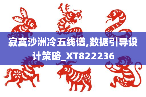 寂寞沙洲冷五线谱,数据引导设计策略_XT822236