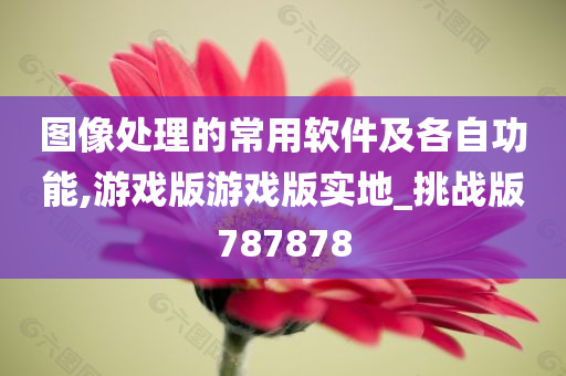 图像处理的常用软件及各自功能,游戏版游戏版实地_挑战版787878