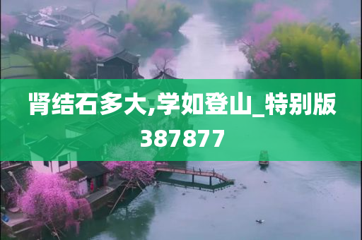 肾结石多大,学如登山_特别版387877