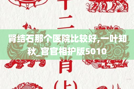 肾结石那个医院比较好,一叶知秋_官官相护版5010