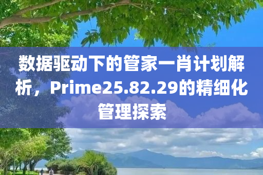 数据驱动下的管家一肖计划解析，Prime25.82.29的精细化管理探索