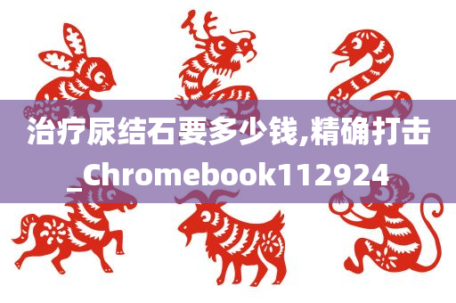 治疗尿结石要多少钱,精确打击_Chromebook112924