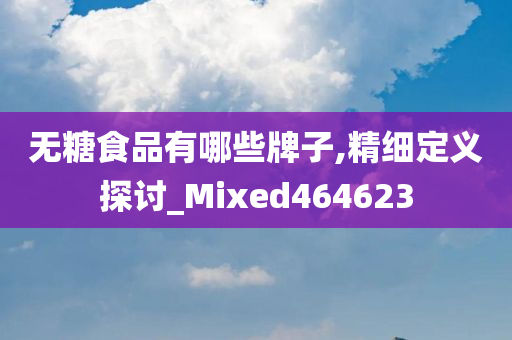 无糖食品有哪些牌子,精细定义探讨_Mixed464623