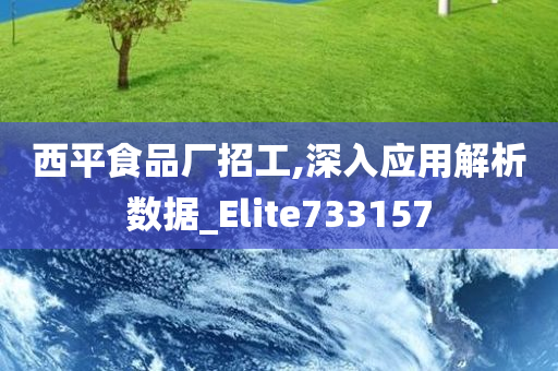 西平食品厂招工,深入应用解析数据_Elite733157