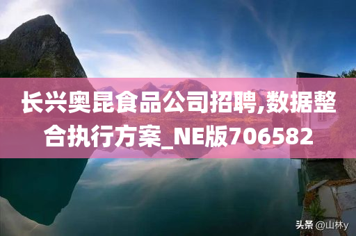 长兴奥昆食品公司招聘,数据整合执行方案_NE版706582