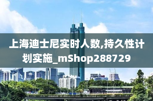 上海迪士尼实时人数,持久性计划实施_mShop288729