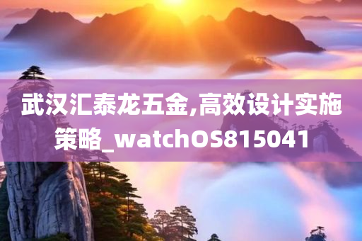 武汉汇泰龙五金,高效设计实施策略_watchOS815041