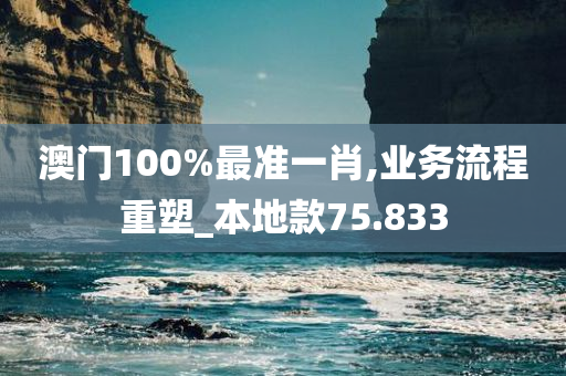 澳门100%最准一肖,业务流程重塑_本地款75.833