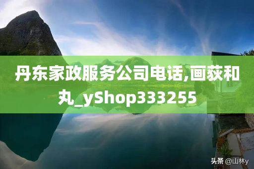 丹东家政服务公司电话,画荻和丸_yShop333255