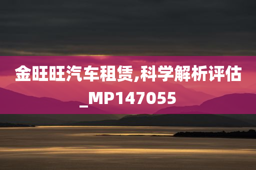 金旺旺汽车租赁,科学解析评估_MP147055