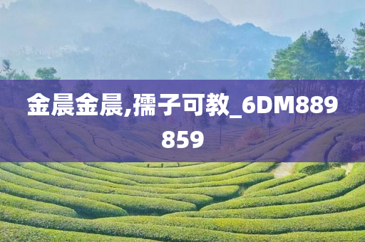 金晨金晨,孺子可教_6DM889859