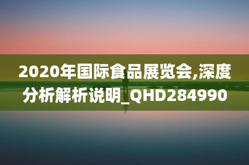 2020年国际食品展览会,深度分析解析说明_QHD284990