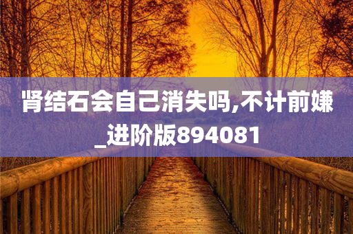 肾结石会自己消失吗,不计前嫌_进阶版894081