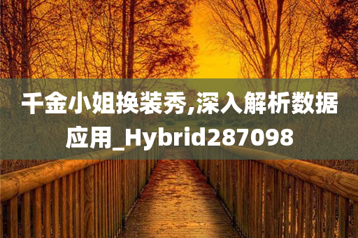 千金小姐换装秀,深入解析数据应用_Hybrid287098