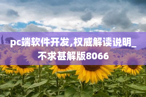 pc端软件开发,权威解读说明_不求甚解版8066