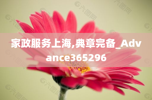 家政服务上海,典章完备_Advance365296