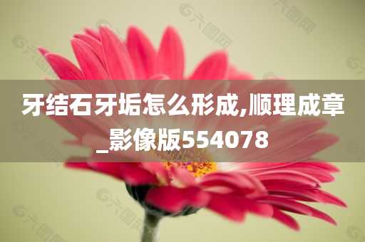 牙结石牙垢怎么形成,顺理成章_影像版554078