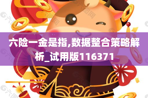 六险一金是指,数据整合策略解析_试用版116371