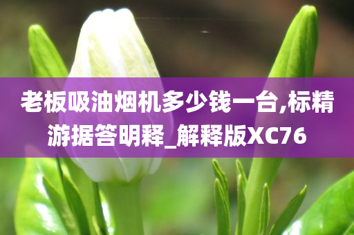 老板吸油烟机多少钱一台,标精游据答明释_解释版XC76