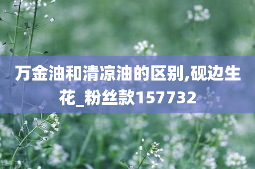 万金油和清凉油的区别,砚边生花_粉丝款157732