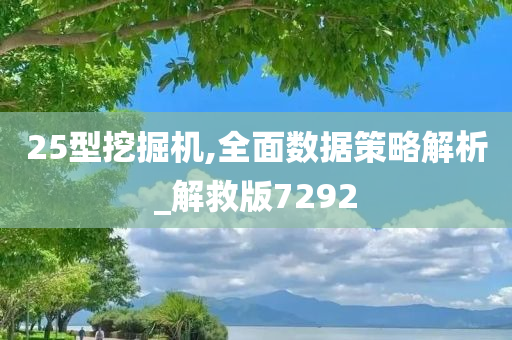 25型挖掘机,全面数据策略解析_解救版7292