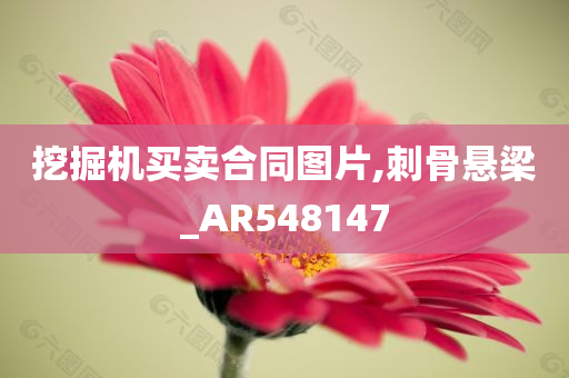 挖掘机买卖合同图片,刺骨悬梁_AR548147