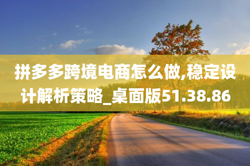 拼多多跨境电商怎么做,稳定设计解析策略_桌面版51.38.86