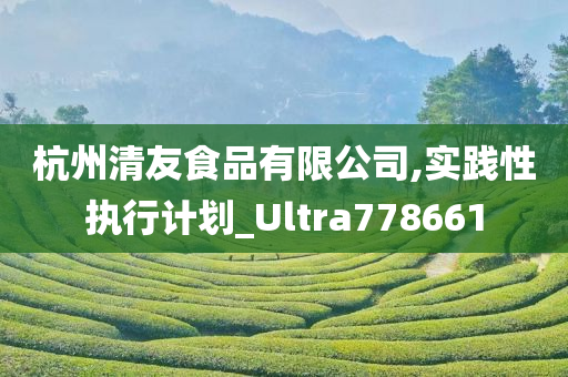 杭州清友食品有限公司,实践性执行计划_Ultra778661