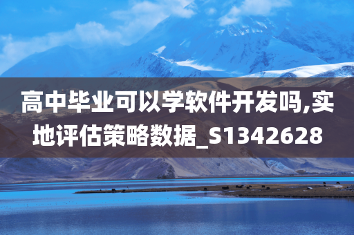 高中毕业可以学软件开发吗,实地评估策略数据_S1342628