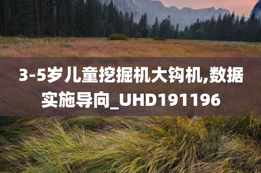 3-5岁儿童挖掘机大钩机,数据实施导向_UHD191196