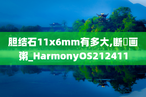 胆结石11x6mm有多大,断虀画粥_HarmonyOS212411