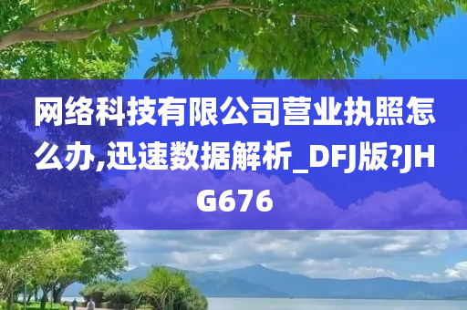 网络科技有限公司营业执照怎么办,迅速数据解析_DFJ版?JHG676