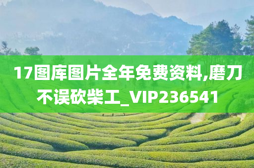 17图库图片全年免费资料,磨刀不误砍柴工_VIP236541