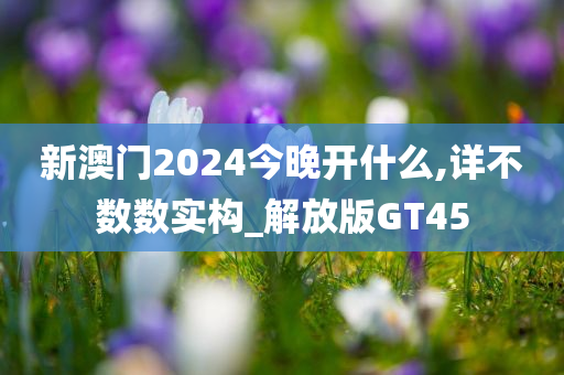 新澳门2024今晚开什么,详不数数实构_解放版GT45