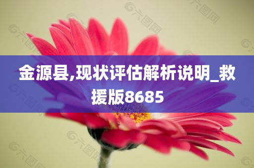 金源县,现状评估解析说明_救援版8685