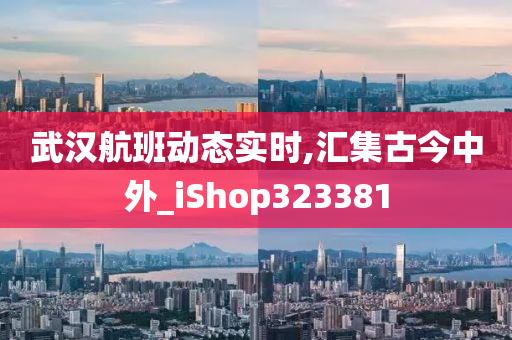 武汉航班动态实时,汇集古今中外_iShop323381