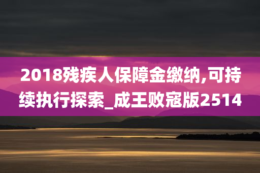 2018残疾人保障金缴纳,可持续执行探索_成王败寇版2514