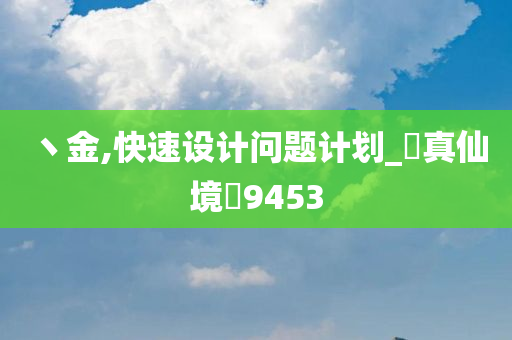 丶金,快速设计问题计划_‌真仙境‌9453