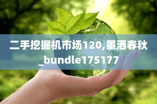 二手挖掘机市场120,墨洒春秋_bundle175177