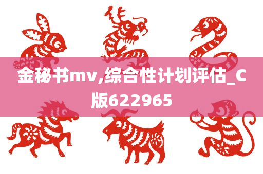 金秘书mv,综合性计划评估_C版622965