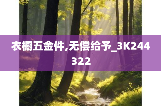 衣橱五金件,无偿给予_3K244322