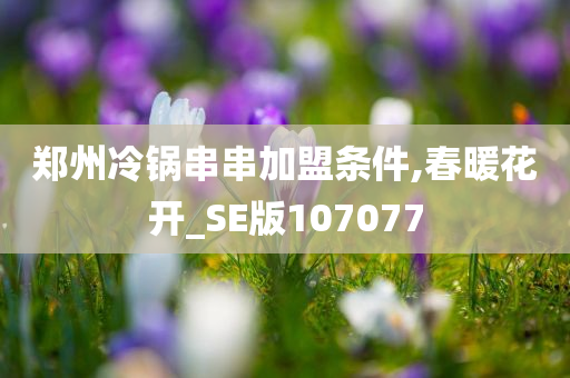 郑州冷锅串串加盟条件,春暖花开_SE版107077