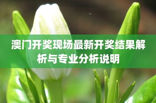 澳门开奖现场最新开奖结果解析与专业分析说明