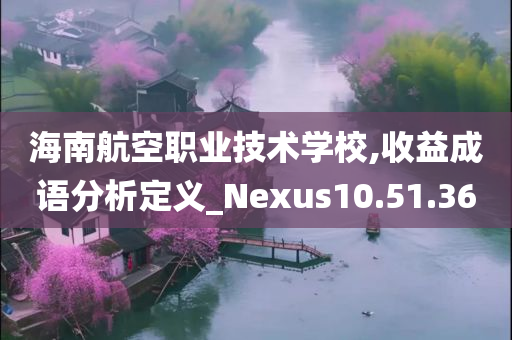 海南航空职业技术学校,收益成语分析定义_Nexus10.51.36