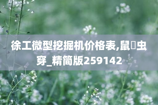 徐工微型挖掘机价格表,鼠齧虫穿_精简版259142