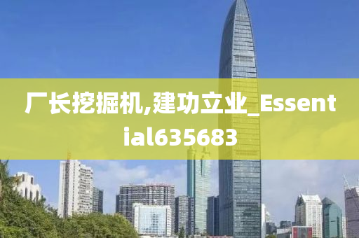 厂长挖掘机,建功立业_Essential635683